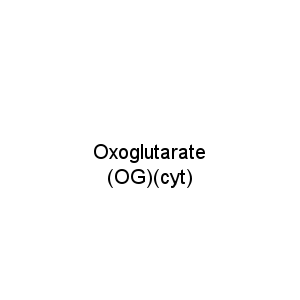 Oxoglutarate (OG)(cyt)